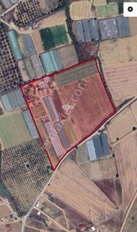 Menderes Develi'de Rıza-i Taksimli Satılık Tarla