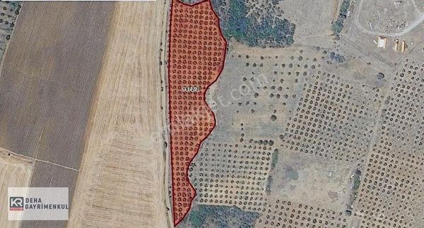 Karacabey Kıranlar Satılık 11 Dönüm Tarla