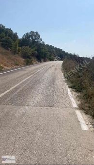 Mudanya Hançerlide Ana Yola Cephe Arazi