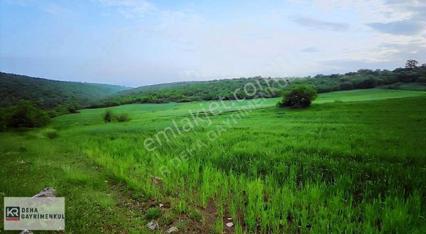 Bursa İnegöl Dömez De Satılık 5.760 M2 Tarla
