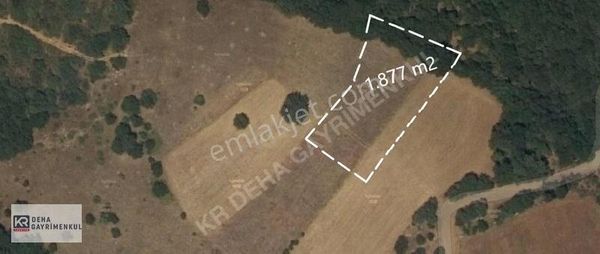 Kr Deha'dan Bursa İnegöl Dömez De 1.817 M2 Satılık Tarla