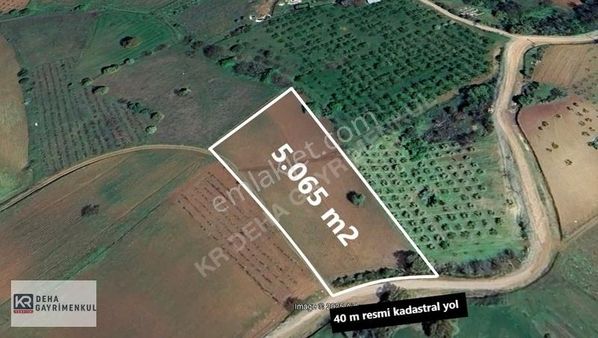 İnegöl Dömez Mah. Kadastral Yolu Olan 5.065 M2 Müstakil Tarla