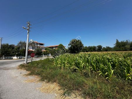 Dalaman Hürriyet Satılık 405 M2 Konut İmarlı Köşe Parsel