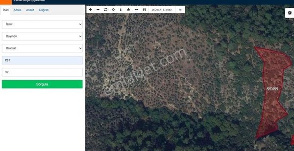 İzmır Bayındır Balcılar'da Satılık 5.940 M² Zeytinlik