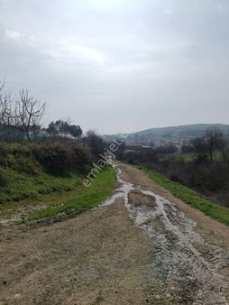 Balıkesir Kepsut İmarlı Arsa