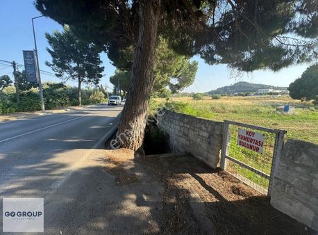 Urla İskele Ağaçlı Yolda Satılık Tarla