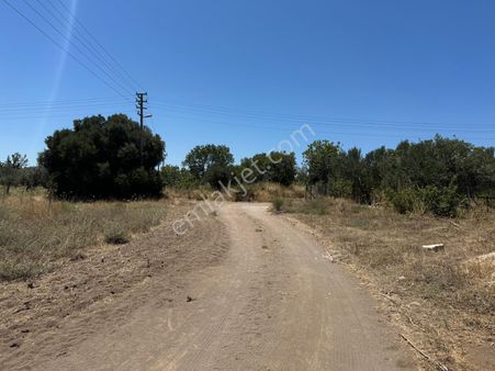 Çanakkale Ayvacık Gülpınar'da Denize Yakın Satılık Tarla