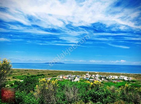 Mudanya Mesudiye Satılık 7126 Metre İmar Planında Arsa