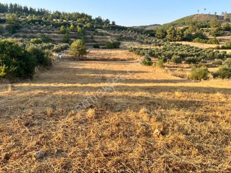Yerkesik Yeniköyde Kaçırılmayacak Yatırım Fırsatı