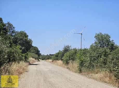 1915 Çanakkkale Köprüsüne 6km Kadastral Yola Cephe Satılık Tarla