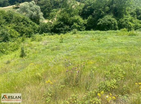 Kocaeli Kandıra Mülkişehsuvarda 3815m2 Tarım Arazisi Acill Aciil