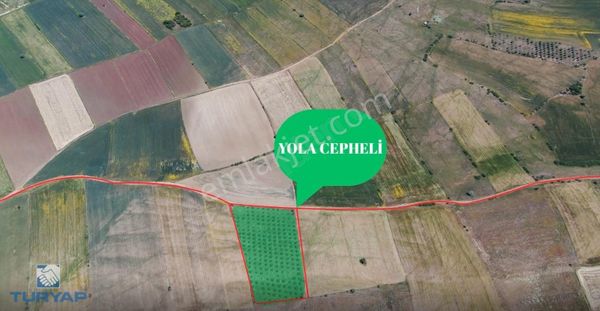 Çanakkale Karabiga Ulucami'de Zeytinlikli 7.085m2 Satılık Tarla