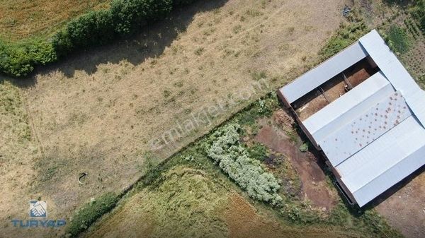 Çanakkale Biga Ahmetler Köyü 21.028m2 Satılık Çiftlik