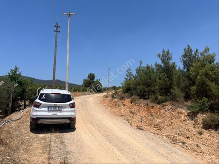 Torbalı Arslanlar Mah. 27200m2 Müstakil Satılık Zeytinlik