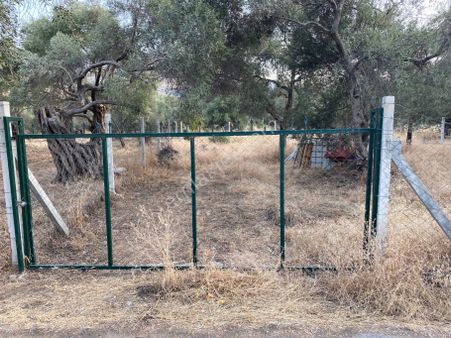 İzmir Bayındır Zeytinova Satılıkbahçe