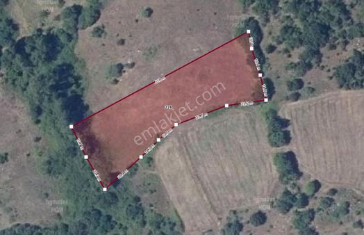 Havdan Köyünde Yatırımlık 4 Dönüm