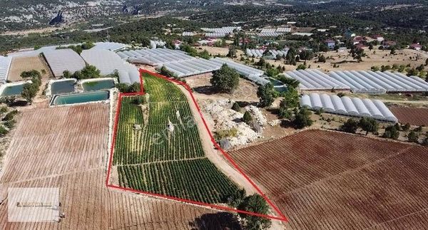 Erdemli Kızılen 5 Dönüm Tek Tapu İmarlı Tarla