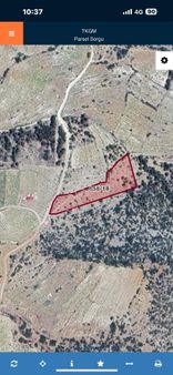 Silifke Gündüzler Mah Satılık Arazi