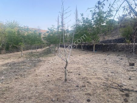 Bergama Öksüzer Mahallesinde Satılık Tarla