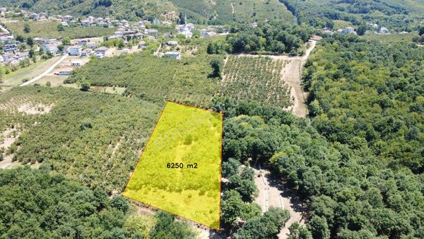 Hacıkışla Köy İçinde İmar Sınırında Satılık Arazi