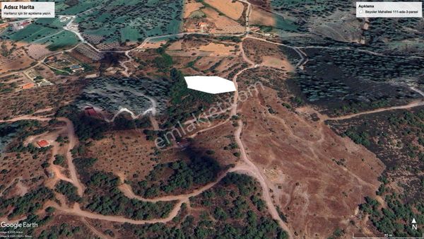 4 Dönüm Yol Cepheli Zeytinli Tarla (araç Takaslı)