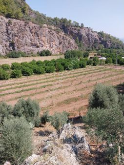 İztuzu – Sarıgerme – Aşı Plajı’na Komşu | 4450 M² Yatırımlık Fırsat