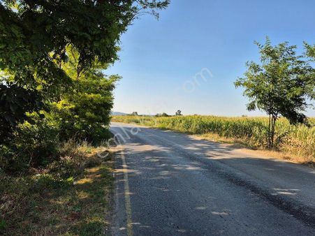 Adapazarı Çökekler Mahallesinde Satılık Tarla