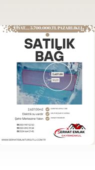 Turgutlu Satılık 8. Mıntıka'da Bağ 2.637.00m2 Asfalt Dibi Elektrik Su Vardır Hepsi Resmi