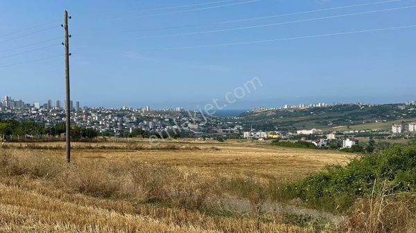 İlyas Nas’tan Mimari Çalışmalı 12 Adet 2+1 Yapımına Uygun Yatırımlık Arsa