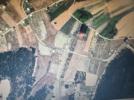 Kestel Gölcükte Fırsat Yatırımlık Tarla