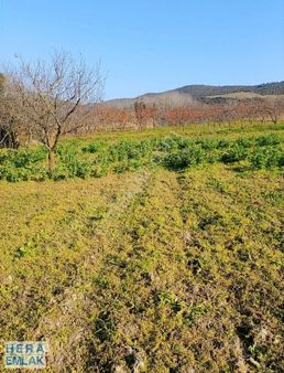 1 Dönüm Hobi Bahçesi. İznik Ovasında Yolu Mevcut