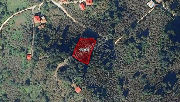 Perşembe Saray Mah. Deniz Manzaralı 1.565 M2 Arsa