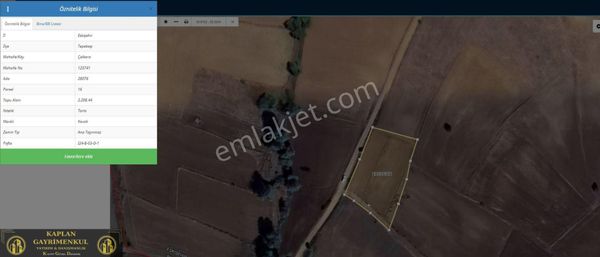 Kaplan Gayrimenkul’den Tepebaşı Çalkara Mahallesinde 2200 M² Satılık Ceviz Tarlası