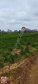 Sakarya Kaynarca Karamanlar Mah Satılık Arazi