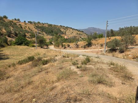 İmara 500 Metre Osmaneli Merkezde 3.786 M2 Yatırımlık Bahçe