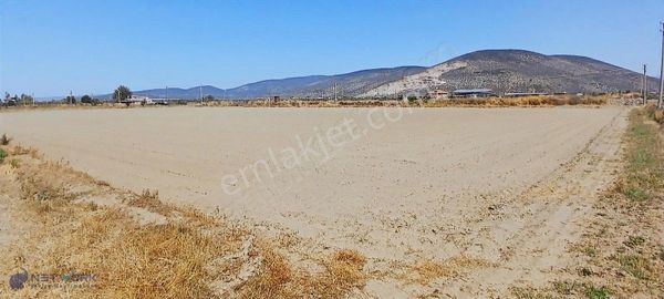 Milas Yaşyer'de 2945 M2 Bereketli Yatırım Fırsatı!