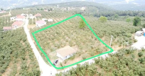 2.200 M2 Arsa İçerisinde Müstakil Ev