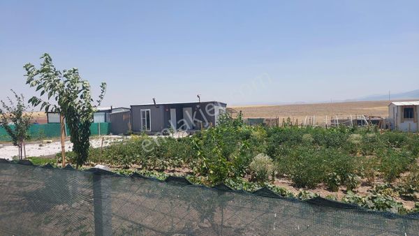 Aksaray Armutlu Satılık Hobi Bahçesi