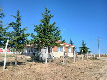 Ruhsatlı Evi Olan Büyük Bahçeli Ciflik