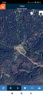 Bursa İznik Göllüce Mah Satlıklık İki Parselden Oluşan Zeytinlik