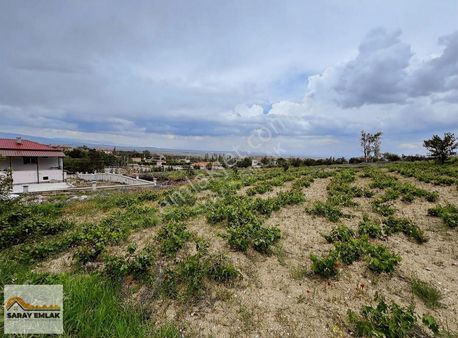 Saray Emlaktan Satılık Niğde Değirmenli Köyünde 1711 M2 Üzüm Bağ