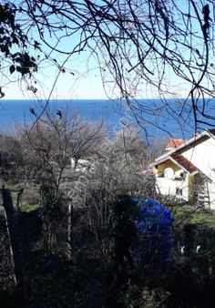 Perşembe Caytepe Satılık İmarlı Bahçe.