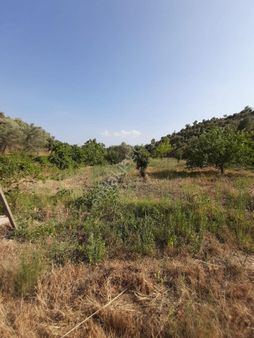 Yeniköyde Satılık Tarla