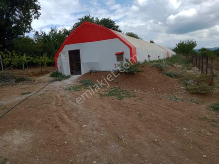 Bursa İnegöl Süprültü Köyünde Satılik Çiflik