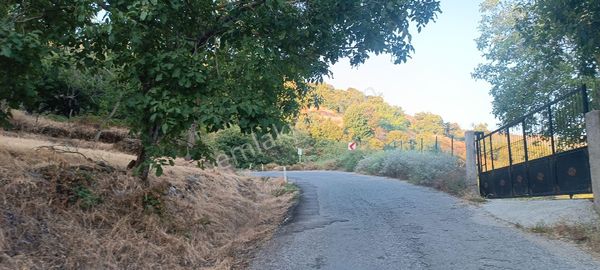 Ali Akdoğan Emlak Ofisinden Satılık Tarla