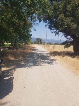 Kazdağları Akçakoyun Satılık