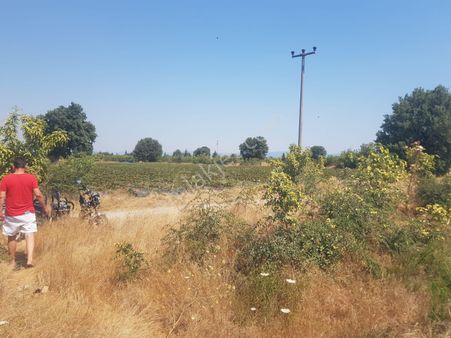 Kazdağları Akçakoyun Satılık