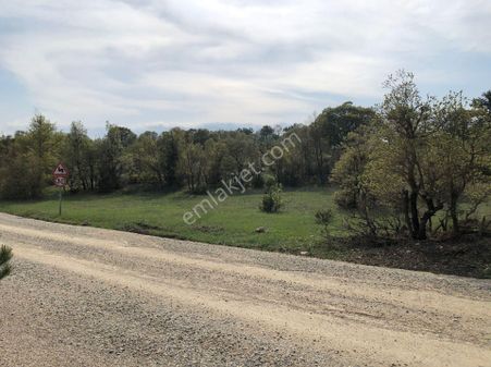 Manzaralı Doğayla İç İçe Mıcırlı Yola Cephe 4.493 M2 Bursa Keles Menteşe Köyünde Satılık Tarla