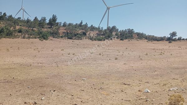 Komutanemlak'dan Çamoba Yaylasında 11 Dekar Tarla