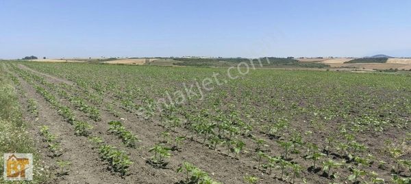 Bt Gayrimenkul Den Toki Ve Hızlı Tren Durağına Yakın Parsel